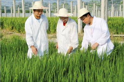 研發(fā)團(tuán)隊