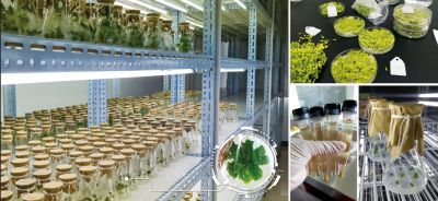 重點(diǎn)實驗室